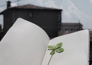 The four-leaf clover is a talisman of fortune