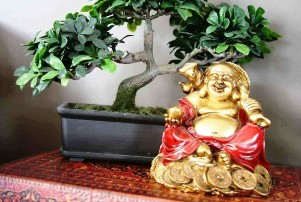 The happiness and well-being of the house of Feng Shui