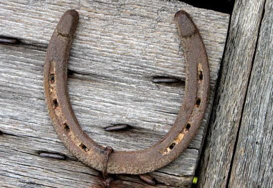 horseshoes as an amulet to attract money