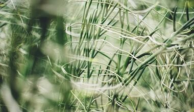 How to make a lucky amulet with your own hands