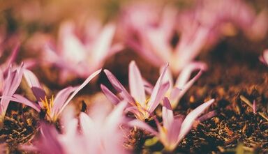 how to make your own lucky amulet